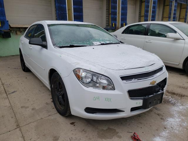 CHEVROLET MALIBU LS 2012 1g1za5eu8cf398761