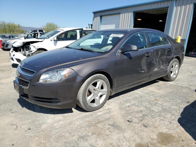 CHEVROLET MALIBU LS 2011 1g1za5eu9bf150999