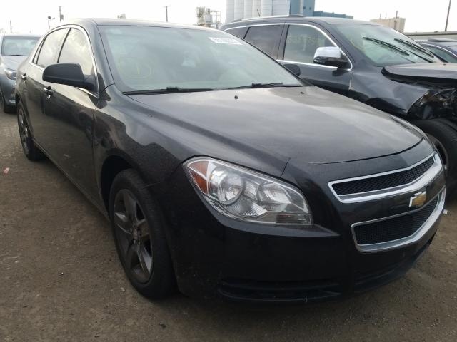 CHEVROLET MALIBU LS 2011 1g1za5eu9bf212708