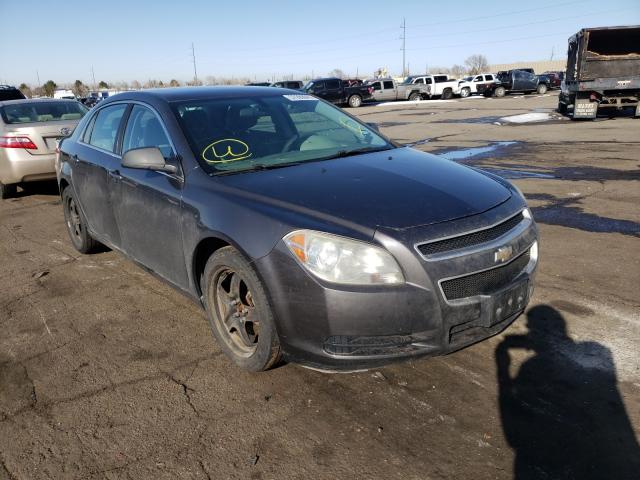 CHEVROLET MALIBU LS 2011 1g1za5eu9bf240900