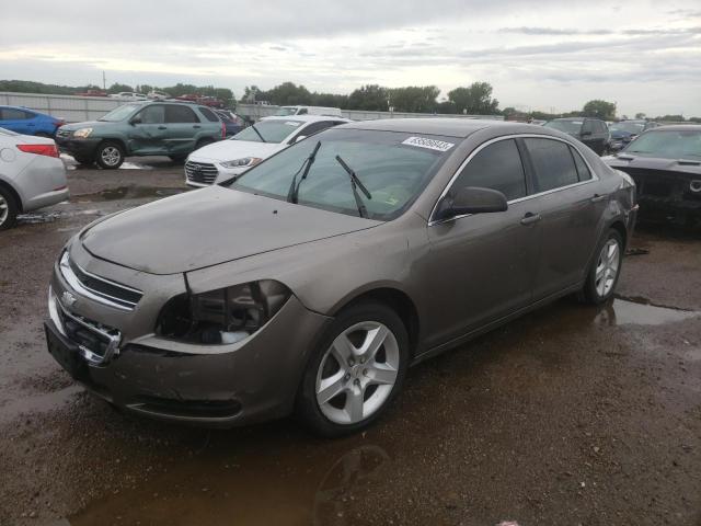 CHEVROLET MALIBU LS 2011 1g1za5eu9bf308788