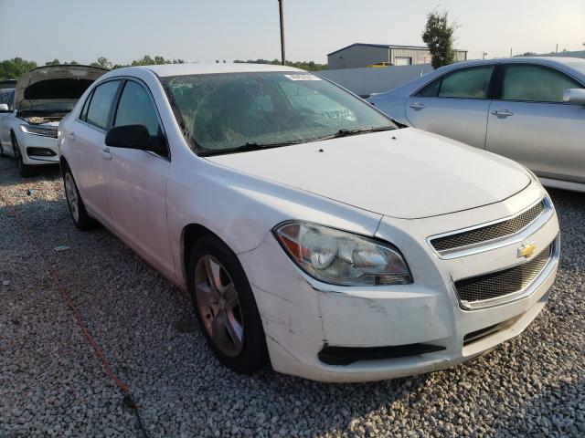 CHEVROLET MALIBU LS 2011 1g1za5eu9bf314459