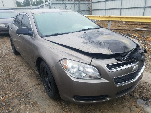 CHEVROLET MALIBU LS 2011 1g1za5eu9bf355870