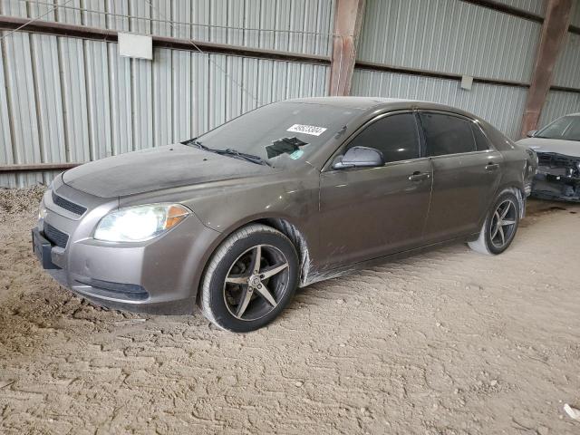 CHEVROLET MALIBU LS 2012 1g1za5eu9cf312776