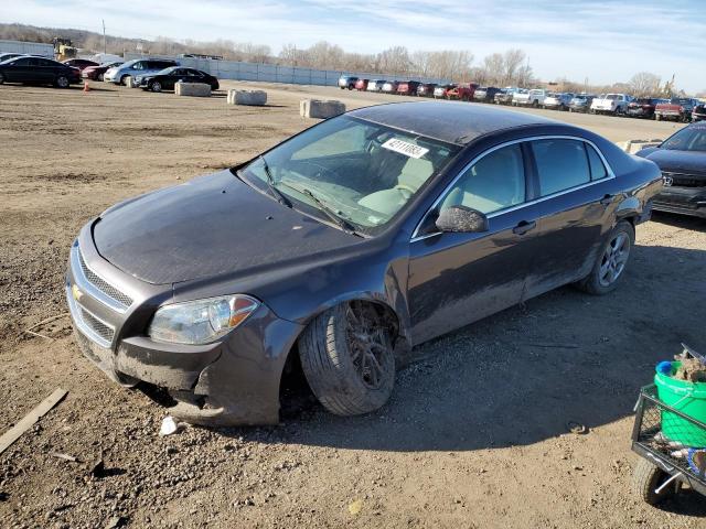 CHEVROLET MALIBU LS 2012 1g1za5eu9cf354610