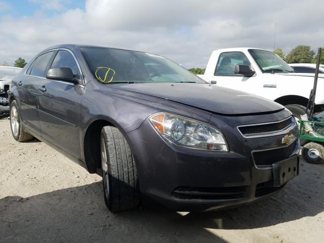 CHEVROLET MALIBU 2012 1g1za5eu9cf390359