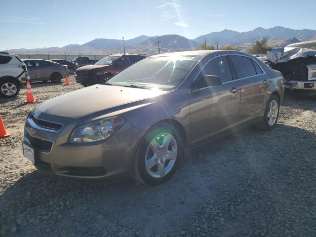 CHEVROLET MALIBU LS 2011 1g1za5euxbf111290