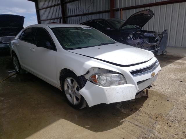 CHEVROLET MALIBU LS 2011 1g1za5euxbf179718