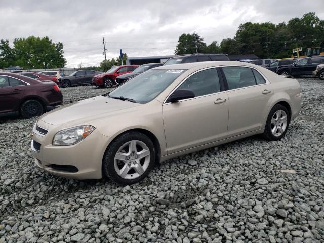 CHEVROLET MALIBU LS 2011 1g1za5euxbf183350