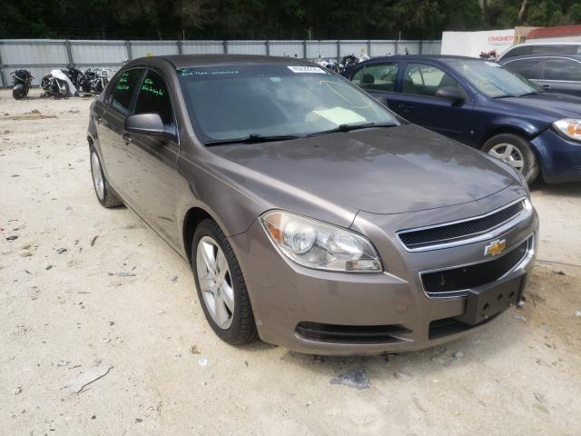 CHEVROLET MALIBU LS 2011 1g1za5euxbf300277