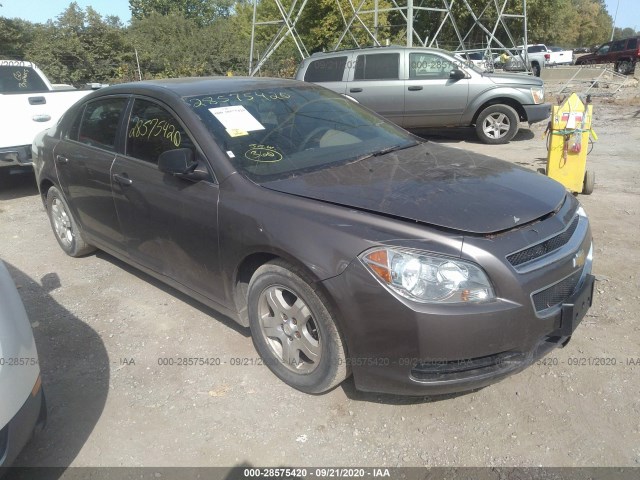 CHEVROLET MALIBU 2011 1g1za5euxbf328029