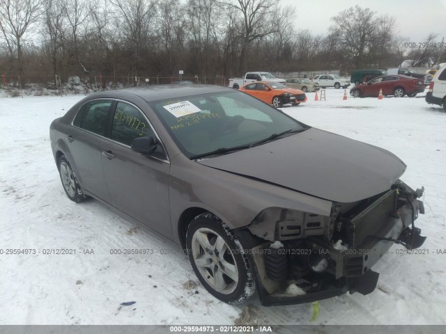 CHEVROLET MALIBU 2011 1g1za5euxbf342089