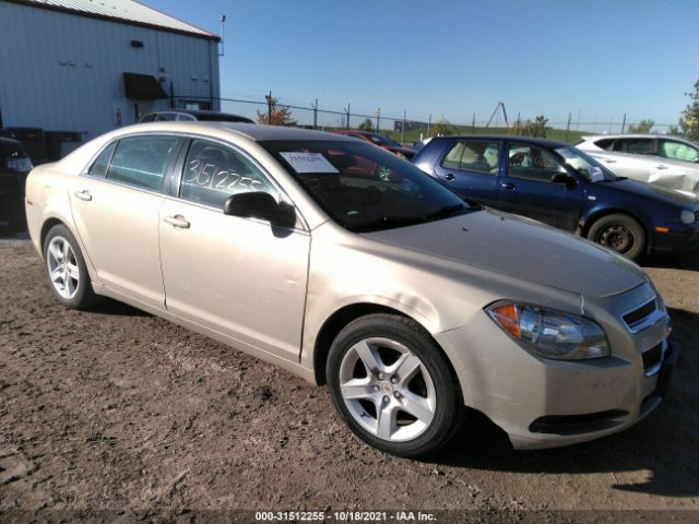 CHEVROLET MALIBU 2011 1g1za5euxbf343002