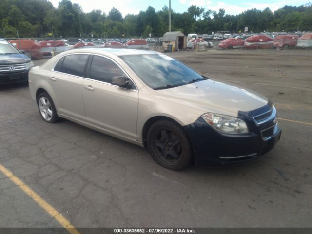 CHEVROLET MALIBU 2011 1g1za5euxbf348247