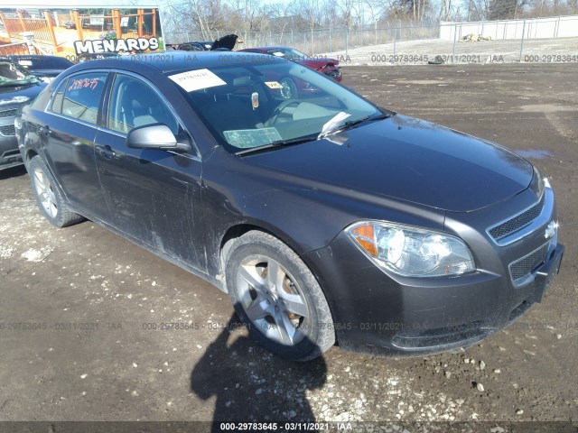 CHEVROLET MALIBU 2011 1g1za5euxbf352671