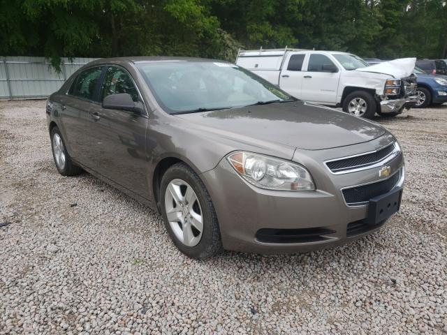 CHEVROLET MALIBU LS 2011 1g1za5euxbf359054