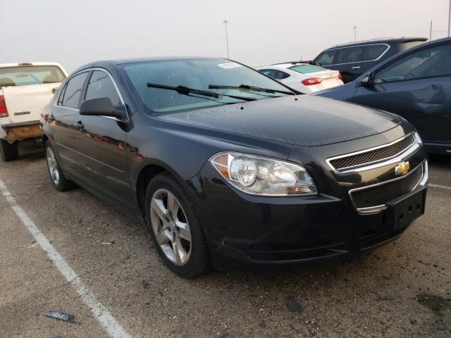 CHEVROLET MALIBU LS 2012 1g1za5euxcf102056