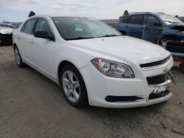 CHEVROLET MALIBU LS 2012 1g1za5euxcf130357