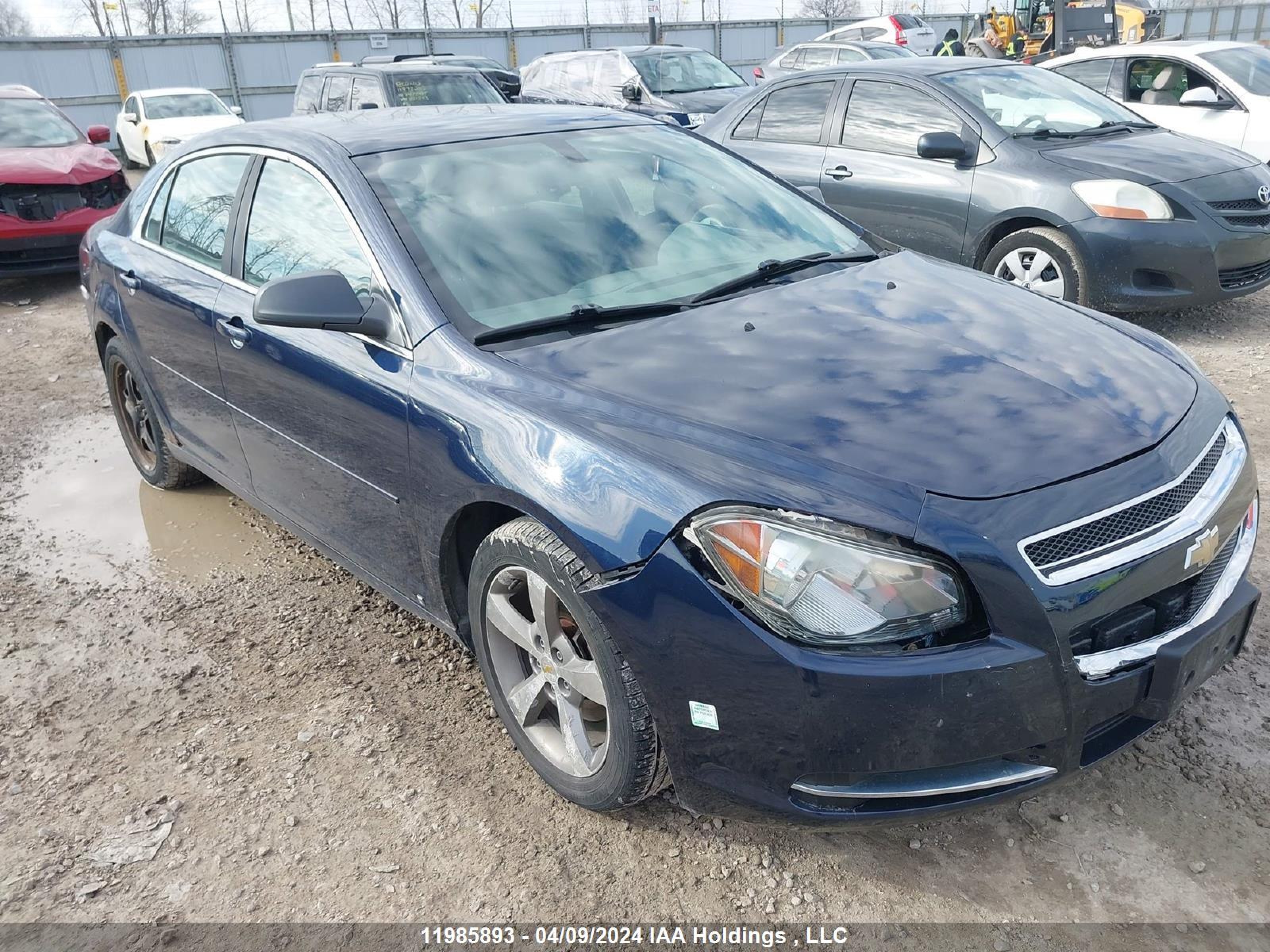 CHEVROLET MALIBU 2010 1g1zb5e00af120167