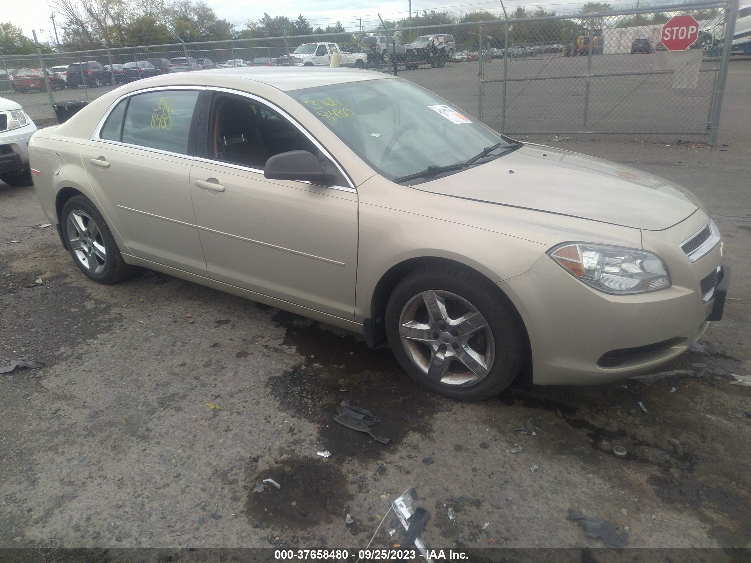 CHEVROLET MALIBU 2012 1g1zb5e00cf238304