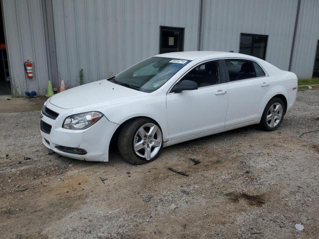 CHEVROLET MALIBU LS 2012 1g1zb5e00cf239274