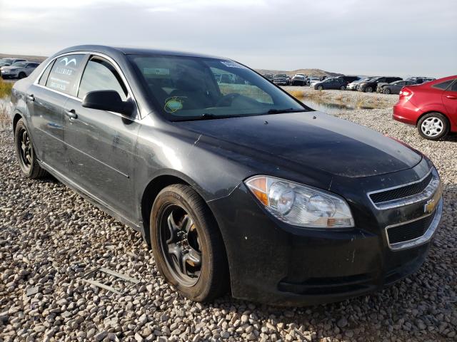 CHEVROLET MALIBU LS 2012 1g1zb5e01cf179179