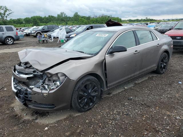 CHEVROLET MALIBU 2012 1g1zb5e01cf193213