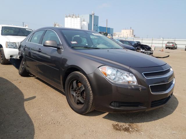 CHEVROLET MALIBU LS 2012 1g1zb5e01cf249733