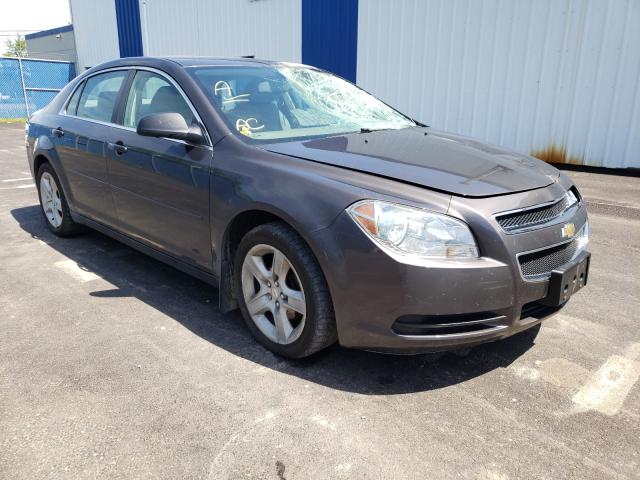 CHEVROLET MALIBU LS 2010 1g1zb5e02af294239