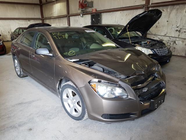 CHEVROLET MALIBU LS 2010 1g1zb5e03af255613