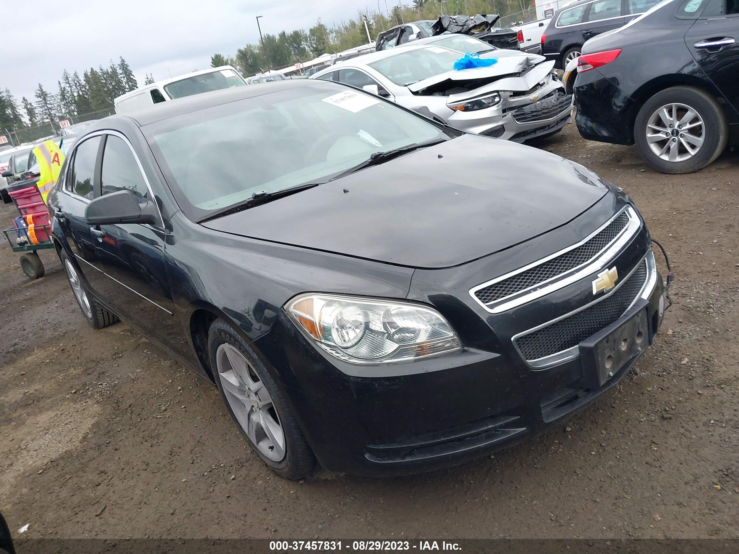 CHEVROLET MALIBU 2012 1g1zb5e03cf190619