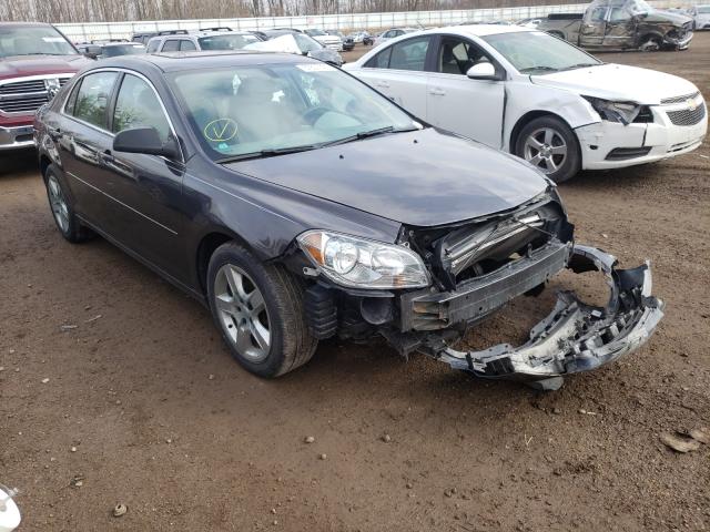 CHEVROLET MALIBU LS 2012 1g1zb5e04cf311027