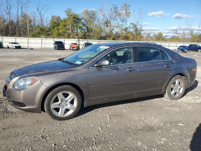 CHEVROLET MALIBU LS 2012 1g1zb5e04cf328975