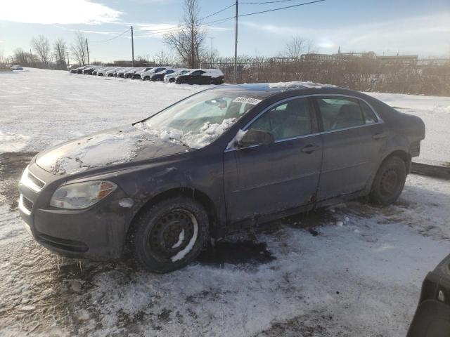 CHEVROLET MALIBU LS 2010 1g1zb5e05af225464