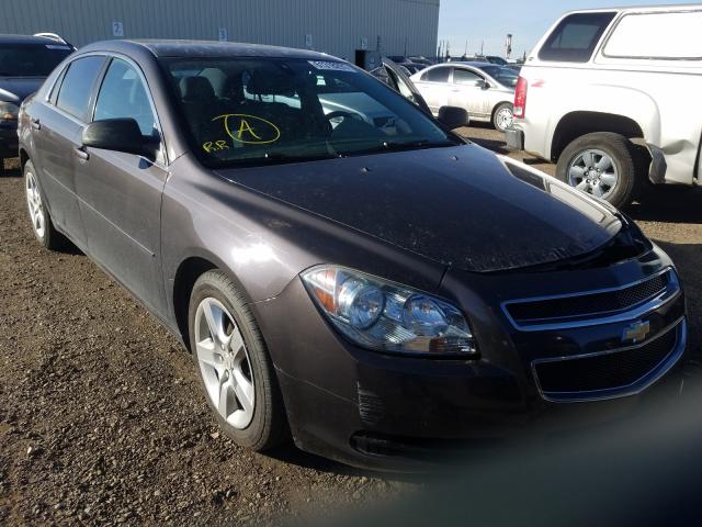 CHEVROLET MALIBU LS 2012 1g1zb5e05cf293668