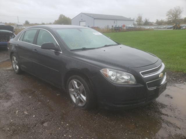 CHEVROLET MALIBU LS 2012 1g1zb5e05cf354887