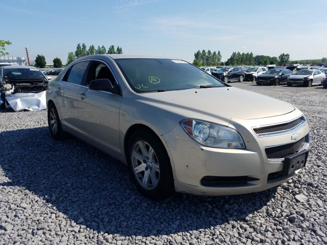 CHEVROLET MALIBU LS 2010 1g1zb5e06af216126