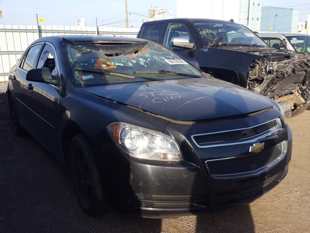 CHEVROLET MALIBU LS 2012 1g1zb5e08cf239555