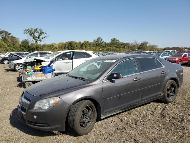 CHEVROLET MALIBU LS 2012 1g1zb5e08cf321916