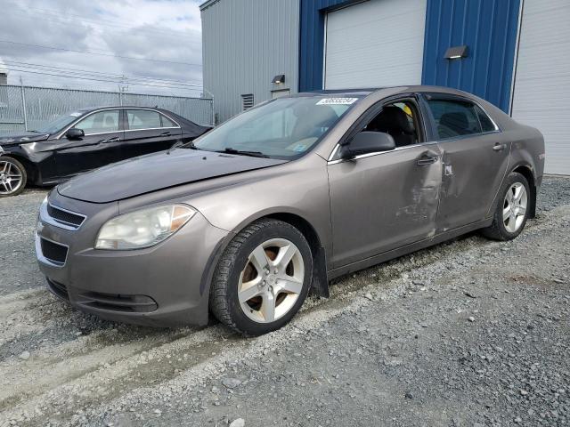 CHEVROLET MALIBU 2010 1g1zb5e0xaf172258