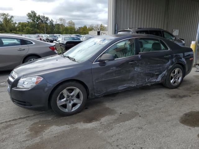 CHEVROLET MALIBU LS 2012 1g1zb5e0xcf246703