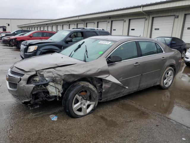 CHEVROLET MALIBU 2011 1g1zb5e10bf163286