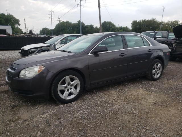 CHEVROLET MALIBU 2011 1g1zb5e10bf206671