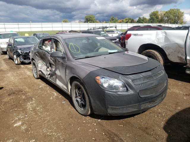 CHEVROLET MALIBU LS 2011 1g1zb5e10bf252520