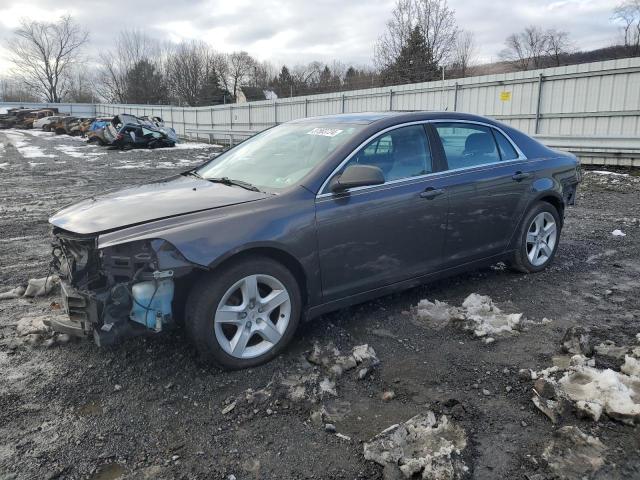 CHEVROLET MALIBU 2011 1g1zb5e10bf341990