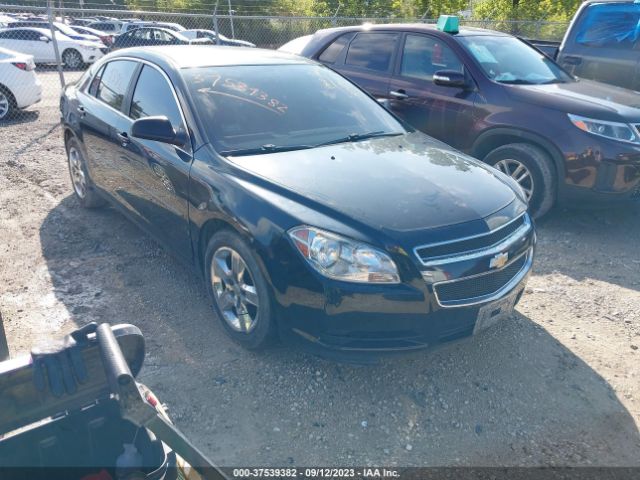 CHEVROLET MALIBU 2011 1g1zb5e11bf144987