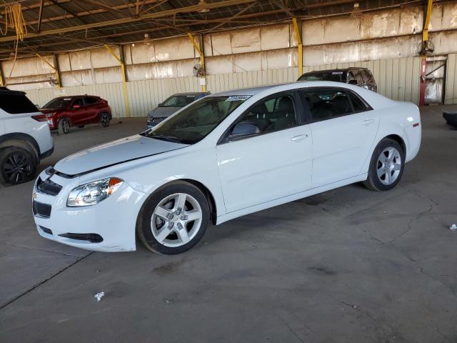 CHEVROLET MALIBU 2011 1g1zb5e11bf154936