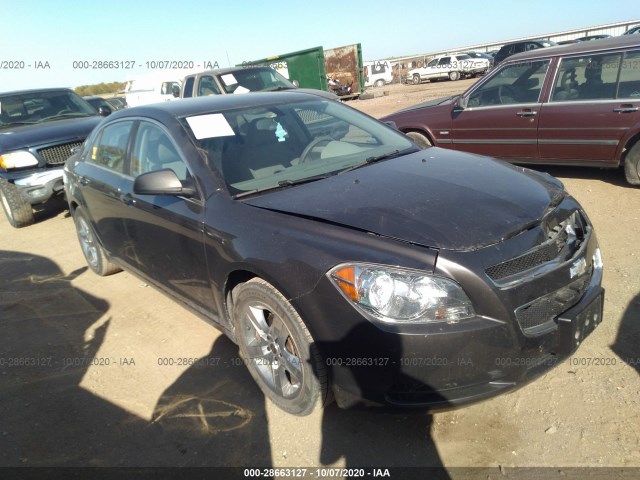 CHEVROLET MALIBU 2011 1g1zb5e11bf205562