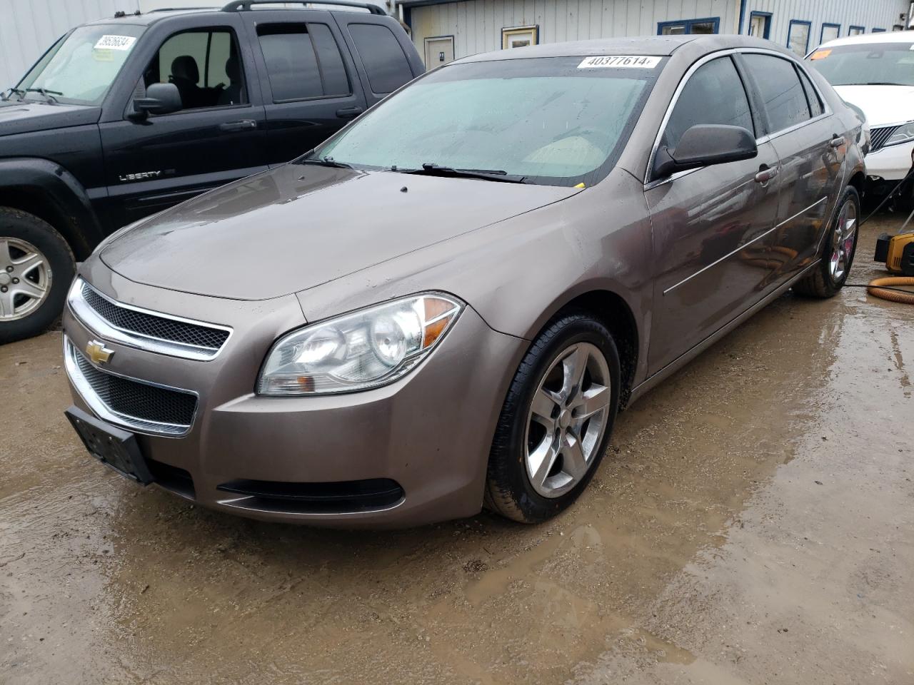 CHEVROLET MALIBU 2011 1g1zb5e11bf208462