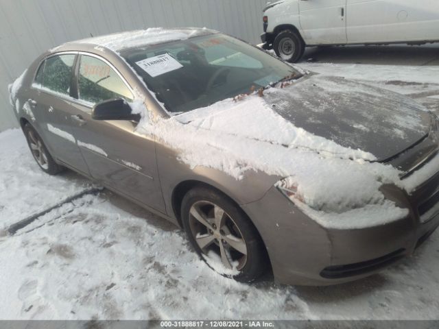 CHEVROLET MALIBU 2011 1g1zb5e11bf210955